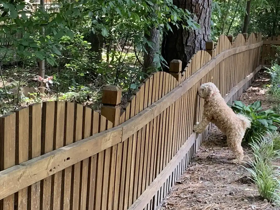 Choosing Fence Materials For Sloped Yards in Clackamas, OR