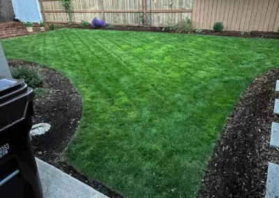 Excellent Grass Installation