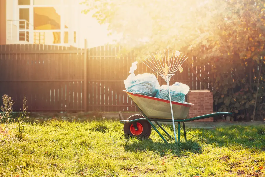 How Yard Cleanup Helps Prevent Pest Infestations And Diseases in Clackamas, OR