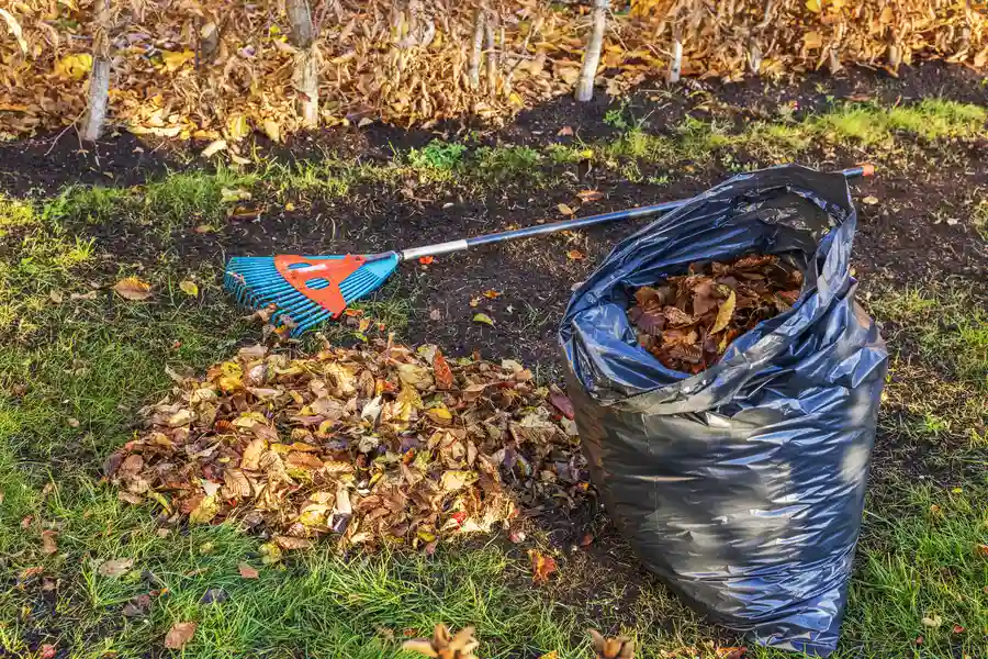 Reputable Yard Cleanup Clackamas, OR