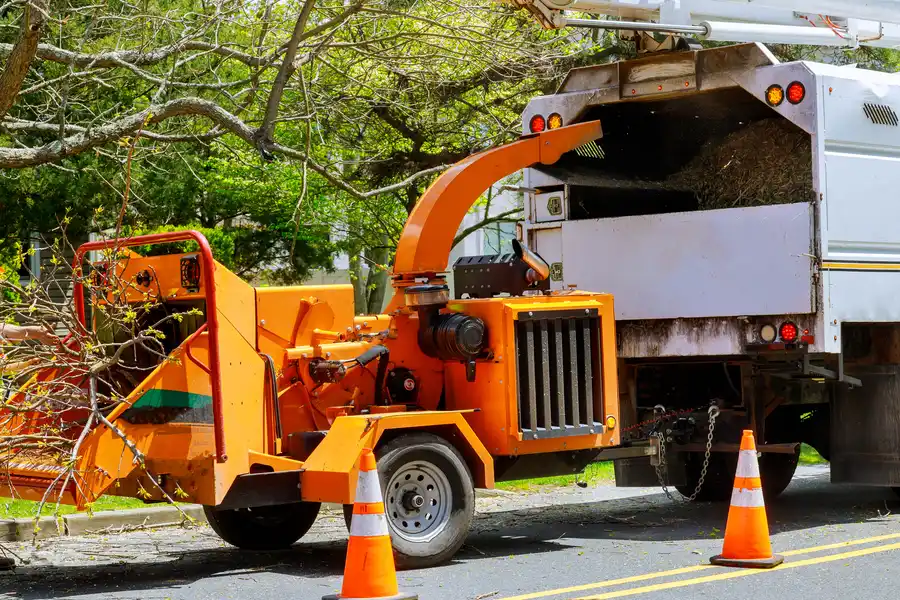 The Role Of Professional Equipment In Safe Tree Removal Clackamas, OR