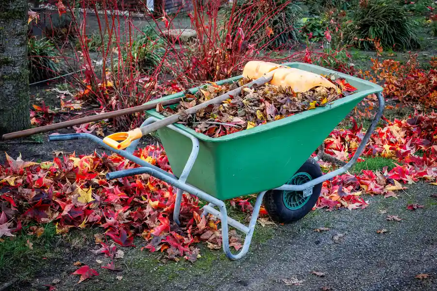 The Role Of Yard Cleanup In Preparing For Outdoor Entertaining Clackamas, OR