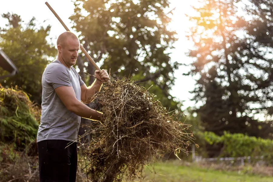 The Role Of Yard Cleanup In Preparing For Outdoor Entertaining in Clackamas, OR